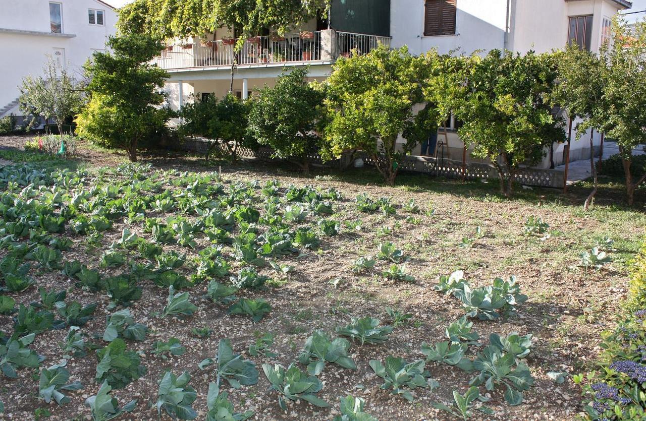 Apartments With A Parking Space Kastel Stafilic, Kastela - 5219 מראה חיצוני תמונה